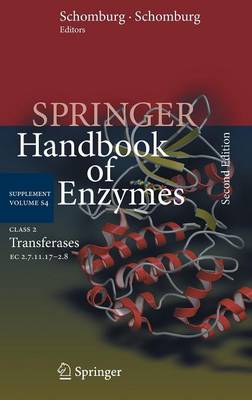 Class 2 Transferases