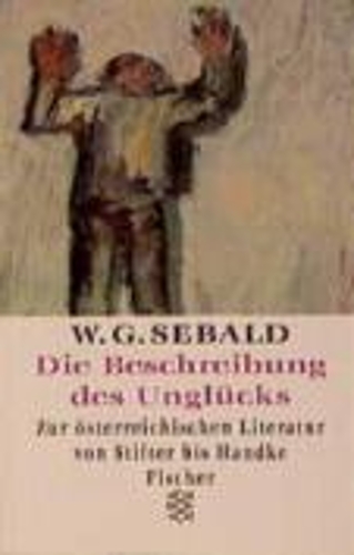 Beschreibung des Unglucks