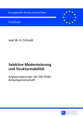 Selektive Modernisierung Und Strukturstabilitaet