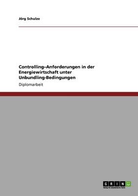 Controlling-Anforderungen in Der Energiewirtschaft Unter Unbundling-Bedingungen