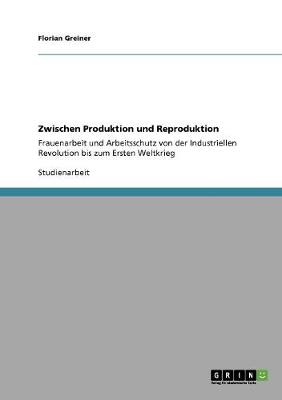 Zwischen Produktion Und Reproduktion