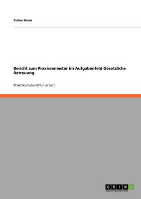 Bericht Zum Praxissemester Im Aufgabenfeld Gesetzliche Betreuung