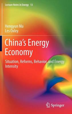 China’s Energy Economy