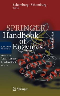 Class 2–3.2 Transferases, Hydrolases