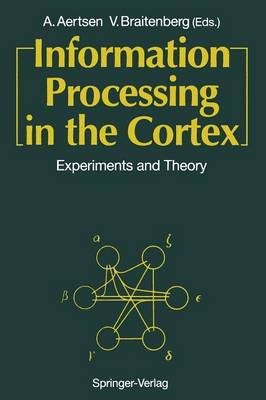 Information Processing in the Cortex