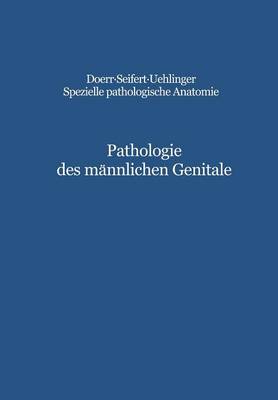 Pathologie des männlichen Genitale
