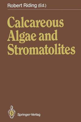 Calcareous Algae and Stromatolites