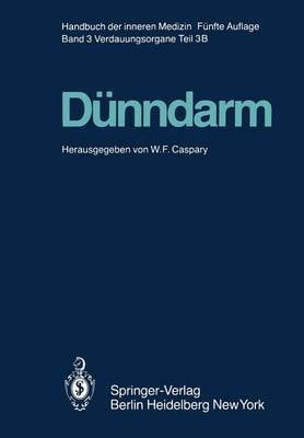 Dünndarm B