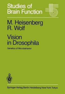 Vision in Drosophila