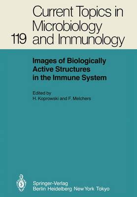 Images of Biologically Active Structures in the Immune System