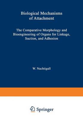 Biological Mechanisms of Attachment
