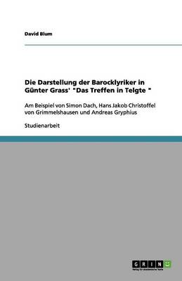 Die Darstellung der Barocklyriker in Gunter Grass' "Das Treffen in Telgte "