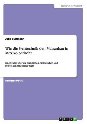 Wie Die Gentechnik Den Maisanbau in Mexiko Bedroht