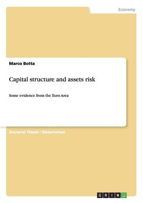 Capital Structure and Assets Risk