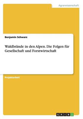 Waldbr nde in Den Alpen. Die Folgen F r Gesellschaft Und Forstwirtschaft