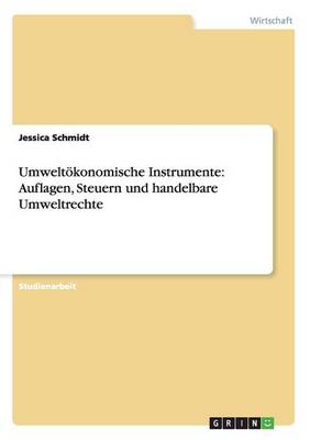 Umweltoekonomische Instrumente