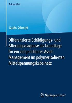 Differenzierte Schädigungs- und Alterungsdiagnose als Grundlage für ein zielgerichtetes Asset-Management im polymerisolierten Mittelspannungskabelnetz