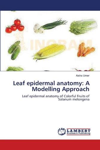 Leaf Epidermal Anatomy