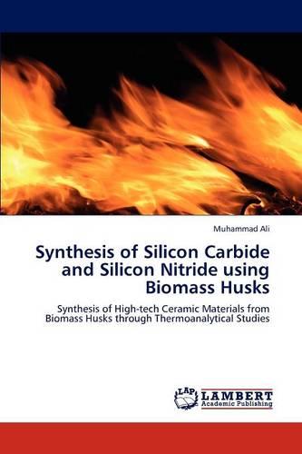 Synthesis of Silicon Carbide and Silicon Nitride Using Biomass Husks