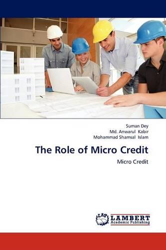 The Role of Micro Credit