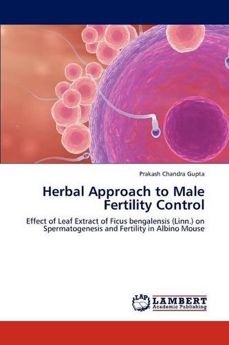 Herbal Approach to Male Fertility Control