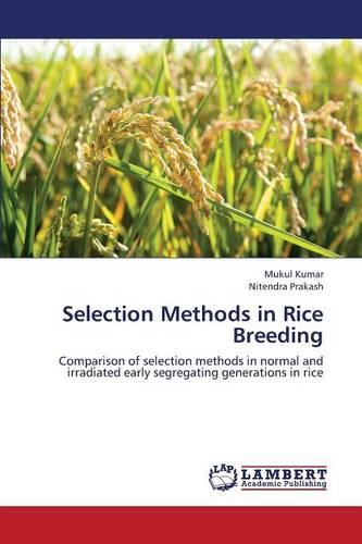 Selection Methods in Rice Breeding