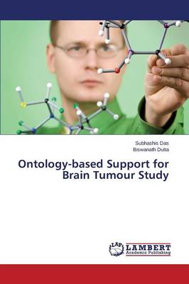 Ontology-Based Support for Brain Tumour Study