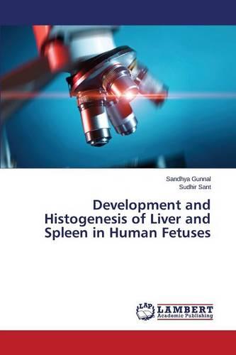 Development and Histogenesis of Liver and Spleen in Human Fetuses