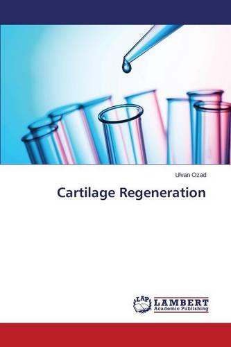 Cartilage Regeneration