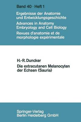 Die extracutanen Melanocyten der Echsen (Sauria)