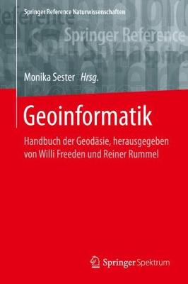 Geoinformatik