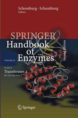 Class 2 Transferases X