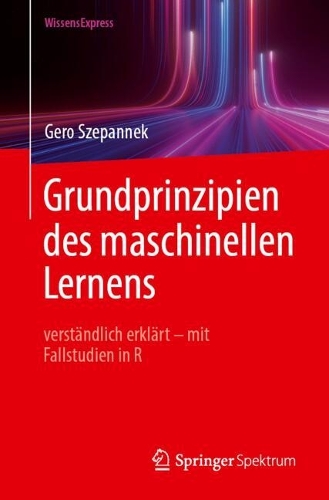Grundprinzipien des maschinellen Lernens