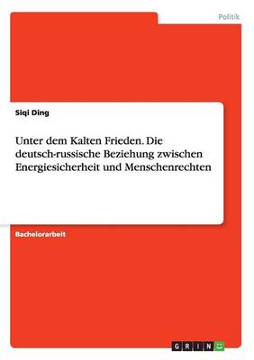 Unter Dem Kalten Frieden. Die Deutsch-Russische Beziehung Zwischen Energiesicherheit Und Menschenrechten