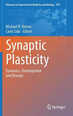 Synaptic Plasticity