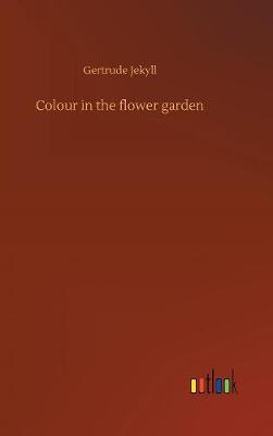 Colour in the flower garden
