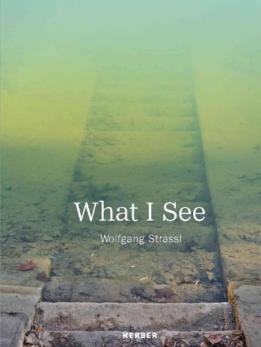 What I See