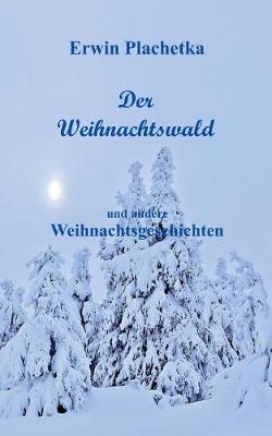 Der Weihnachtswald