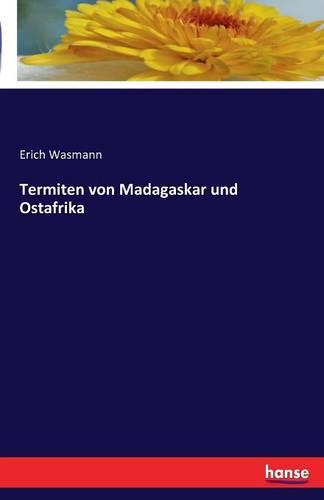 Termiten Von Madagaskar Und Ostafrika