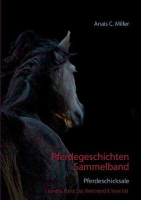 Pferdegeschichten Sammelband