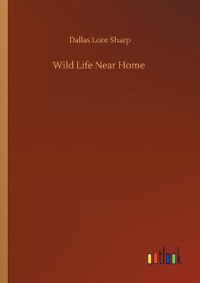 Wild Life Near Home