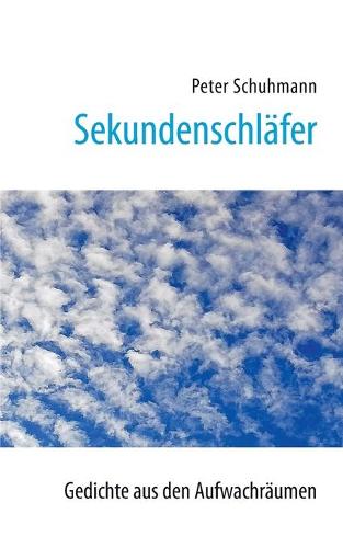Sekundenschläfer