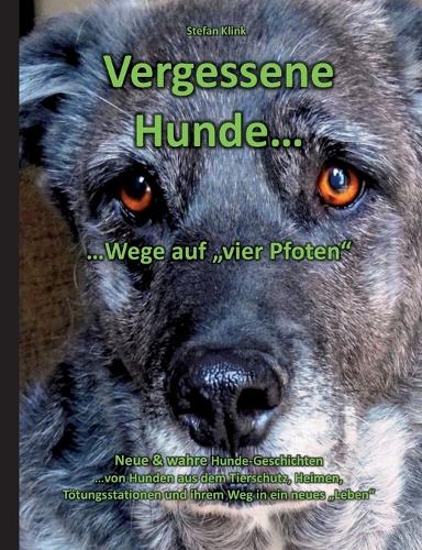 Vergessene Hunde