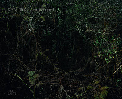 Yann Mingard: Repaires