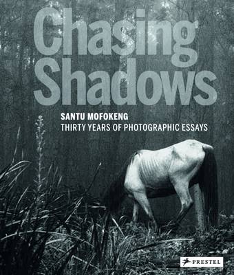 Chasing Shadows