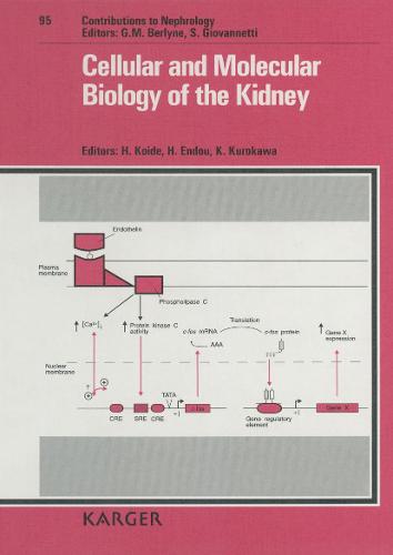 Cellular and Molecular Biology of the Kidney