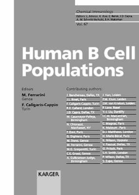 Human B Cell Populations