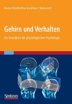 Gehirn und Verhalten