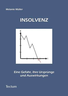 Insolvenz - eine Gefahr, ihre Ursprünge und Auswirkungen