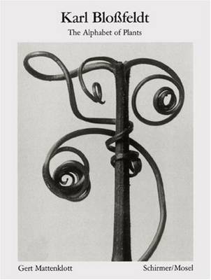Karl Blossfeldt: Alphabet of Plants
